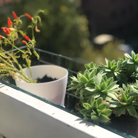 Dan I Noc 아파트 *